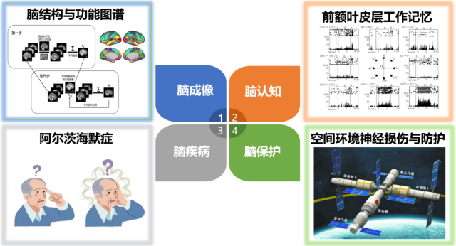 图片1_副本.png